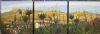 "Silvermine through fynbos - Triptych"