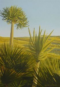 "Morning in Namibia"