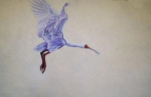 "Spoonbill"