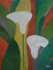 "Arum Lilies"