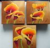 "New colour Amrumlilies- Set of three"