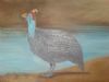 "Guinea Fowl At River"