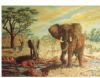 "Elephant mud bath"