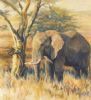 "Elephant Resting"