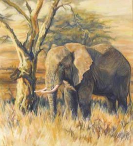 "Elephant Resting"