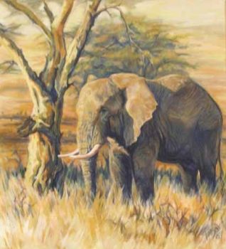 "Elephant Resting"