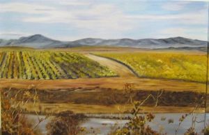 "Vineyards Elim 2"