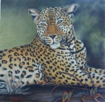 "Leopard"