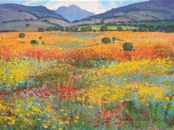 "Namaqua Experience"