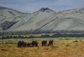 "Elephants in the Masai"