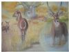 "Spirit Of The Waterbuck"
