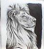 "Lion Pride"