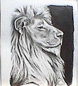 "Lion Pride"