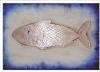 "Big Fish 2"