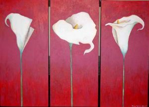 "arum lilies"