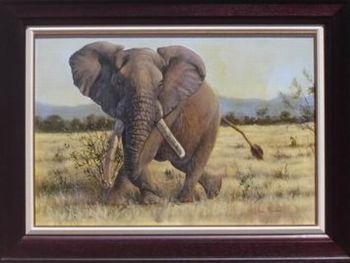 "Elephant"