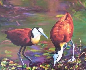 "Jacanas"