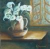 "Arum Lilies in Jug"