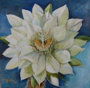 "Cactus Flower"