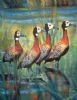 "Whistling Ducks"