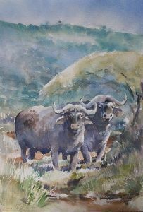 "Two Buffalo"