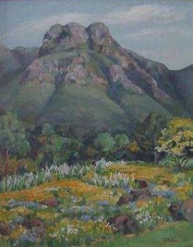 "Castle Rock Kirstenbosch"
