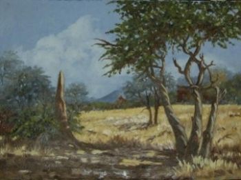 "Ant Hill"