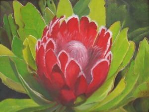 "Protea"