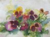"Pansies"