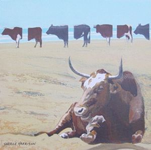 "A Slice of Nguni"