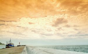 "11488 Harbour Sunset"