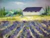 "Lavender Fields 2"