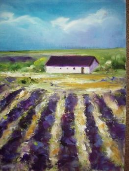 "Lavender Fields 1"