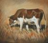 "Nguni"