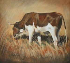 "Nguni"