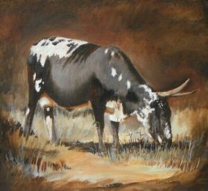"Nguni 2"