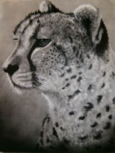 "Cheetah"