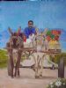 "Donkiekar Donkey Cart Capetown"