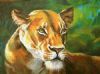 "Lioness, Warrior"