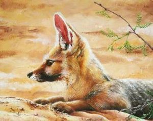"Cape Fox Resting"