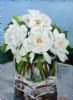 "White Blooms in Glass Vase"