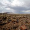 "Karoo Landscape III"