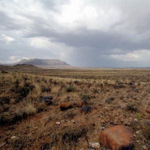 "Karoo Landscape III"