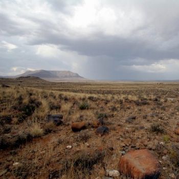 "Karoo Landscape III"