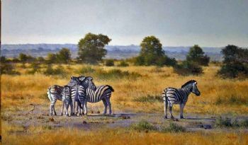 "Basalt Plains Near Satara"
