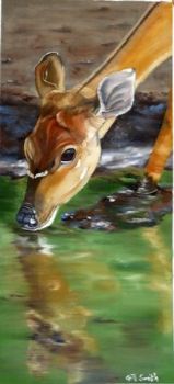 "Buck"