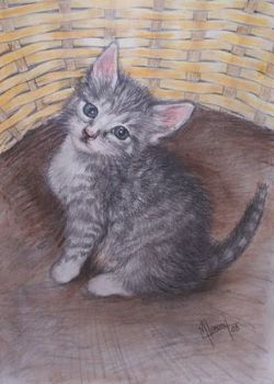 "Kitten"
