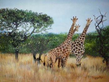 "Giraffe x three"