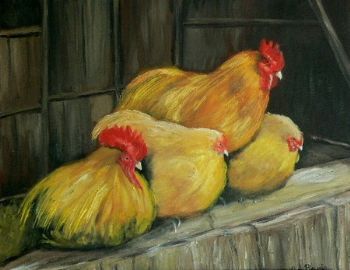 "Resting chickens"