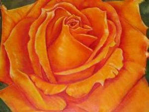 "Stunning Rose"